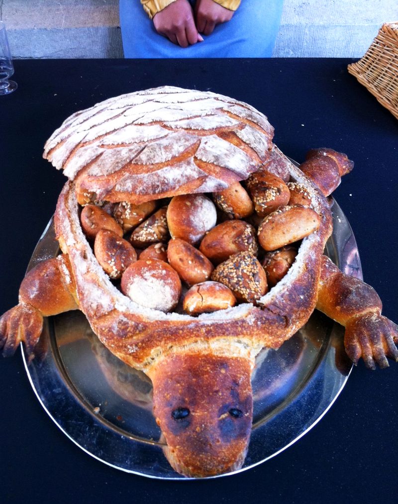 Turtle-bread